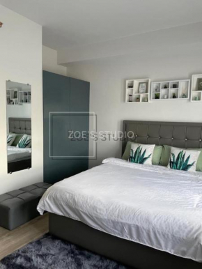 Zoe Studio Mesavirre
